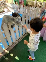 -萌宠亲子动物乐园(槐房万达店)