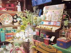 -布兰兔的植物庄园(杭州南宋御街店)