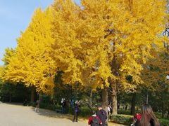 -玲珑塔公园