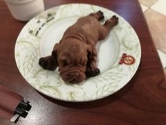 -比亚森自助烤肉料理(裕华店)