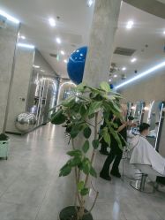 -IN STYLE·全国形象店