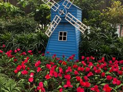 -南宫五洲植物乐园