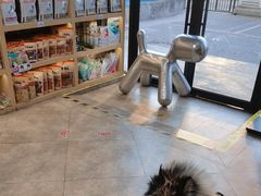 -美联众合动物医院·24h转诊中心