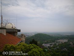 -上海佘山国家森林公园西佘山园