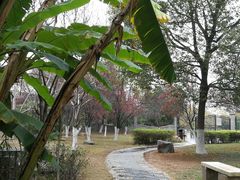 -蒋经国旧居