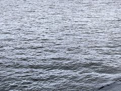 -人民防洪胜利纪念塔