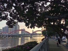 -珠江夜游广州塔·中大码头