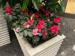 -成都世纪城假日酒店-西楼