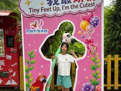-广州长隆飞鸟乐园