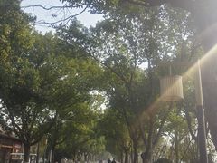 -东钱湖小普陀景区