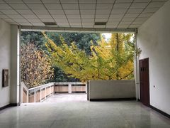 -成都工业学院(郫都校区)