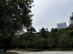 -元大都城垣遗址公园