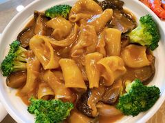 花胶-永記粤菜·五指毛桃花雕鸡煲(九亭店)