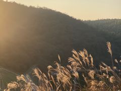 -影珠山