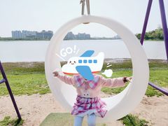 -九龙湖公园