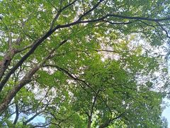 -绮园景区