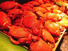 -星伦多自助料理·涮烤一体(虹悦城店)