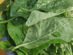 -大戚饭店(泰华路店)