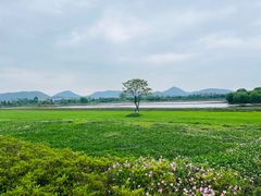 -良渚古城遗址公园