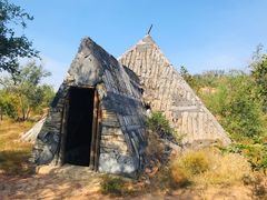 -红山国家森林公园