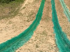 -古柏渡飞黄旅游区