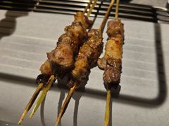 -鼎原力量东北吊炉烧烤(临河街店)