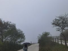 -石棉县孟获城