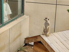 -合肥野生动物园