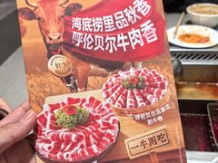 -海底捞火锅(泰安爱琴海店)