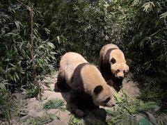 -武汉园博园(武汉自然博物馆)