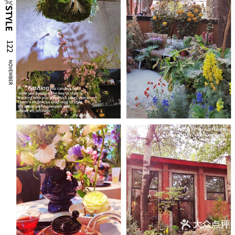 很有温度的一家小店，感觉进了植物馆了