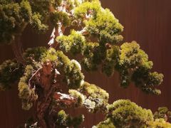 -喜湘宴·精致湖南菜(和平西桥店)