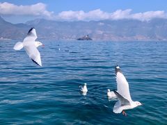 -丽江泸沽湖景区