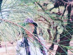 -北海金海湾红树林生态旅游区