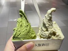 -野人先生现做冰淇淋(北京环宇荟店)