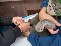 -爱派特动物医院·全科诊疗中心