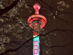 -成都娃娃花园餐厅 (南艺旗舰店)