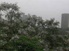 -大渡口区义渡公园