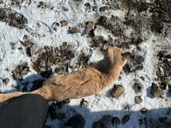 -东天目山风景区