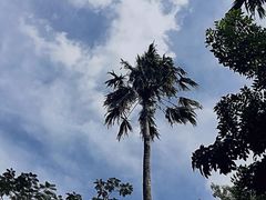 -柬埔寨国家博物馆