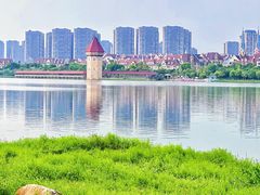 -九龙湖公园