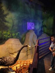 -酷嗒动物文化乐园(cutezoo西溪乐天城店)