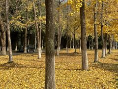 -四川大学(江安校区)