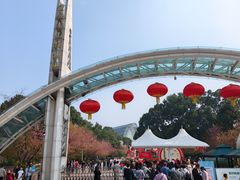 -南山植物园