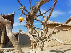 -镇北堡西部影城