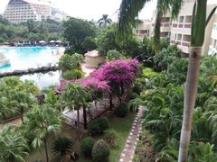 android_upload_pic-三亚亚龙湾凯莱仙人掌度假酒店