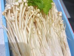 -老马路串串香火锅(北门桥店)