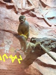 -Zoolung Zoolung动物主题公园(海信广场店)
