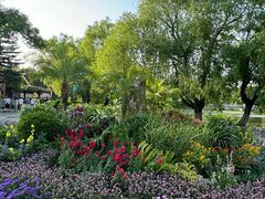 -长春市南湖公园