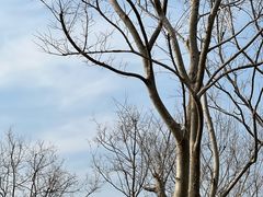 -秦始皇帝陵博物院-丽山园